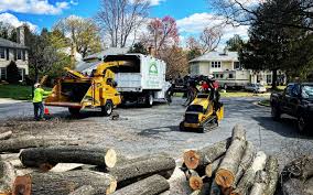 Best Storm Damage Tree Cleanup  in Gorman, TX